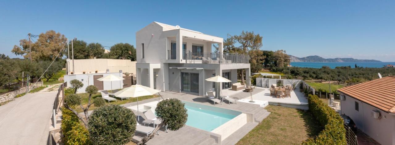 Villa Nick Art Lithakia  Екстериор снимка